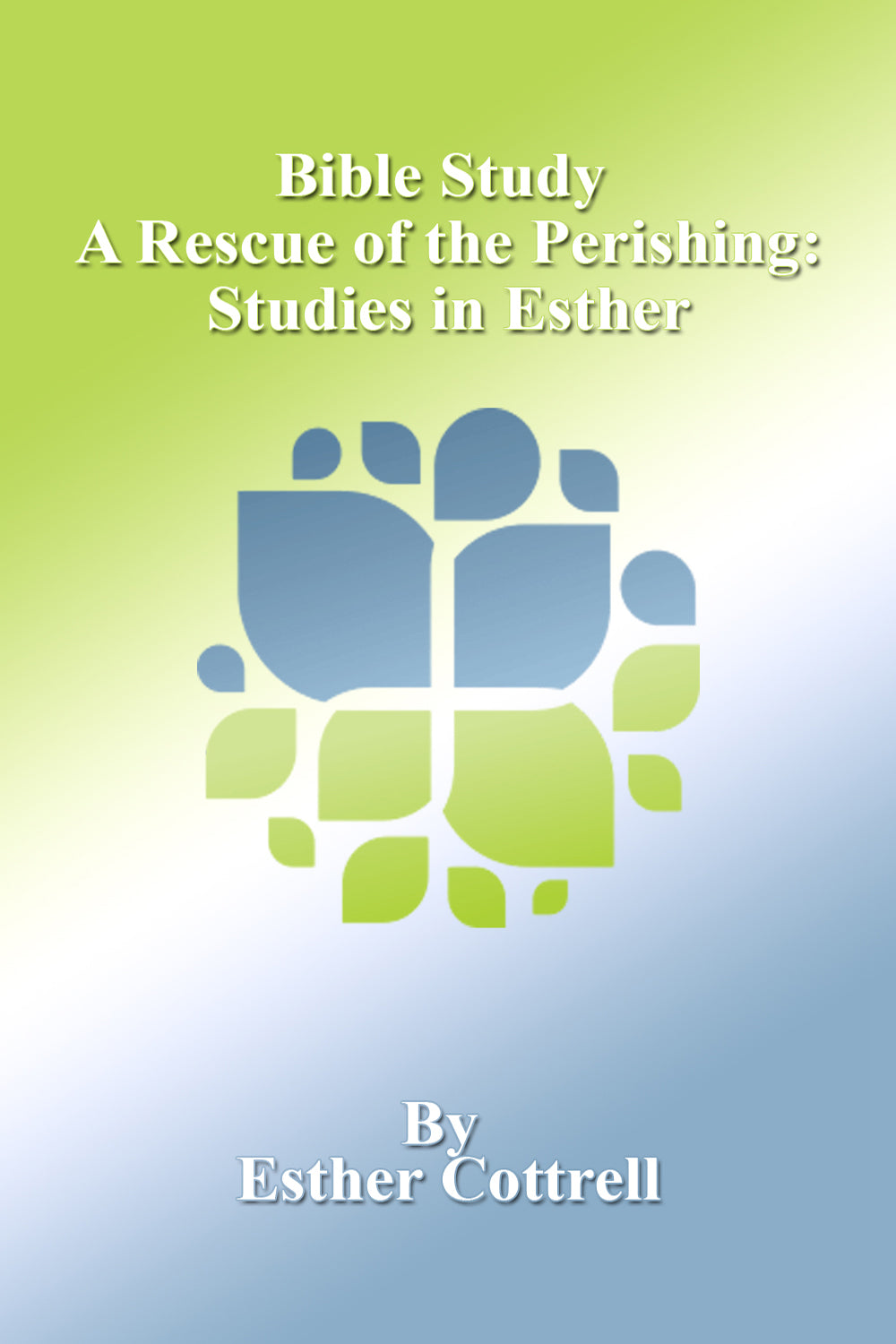Bible Study - A Rescue of the Perishing A Study of Esther