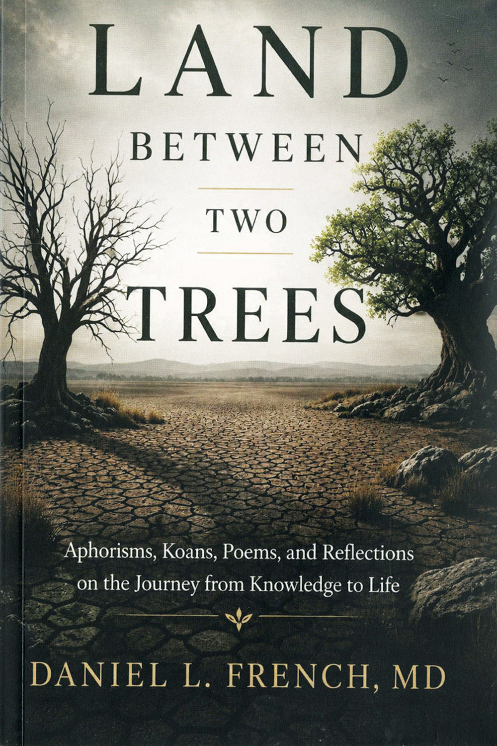 Land Between Two Trees