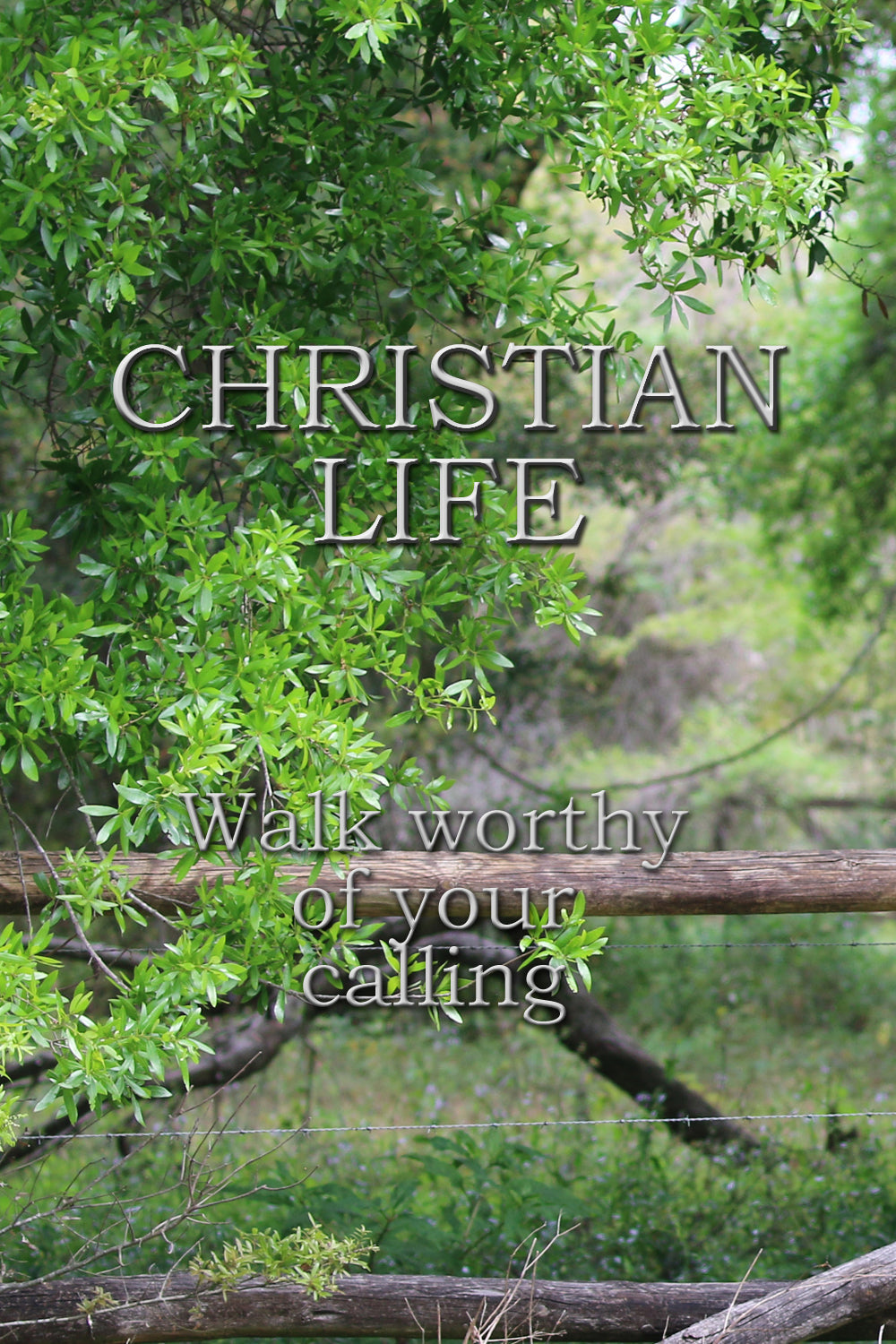 Christian Life