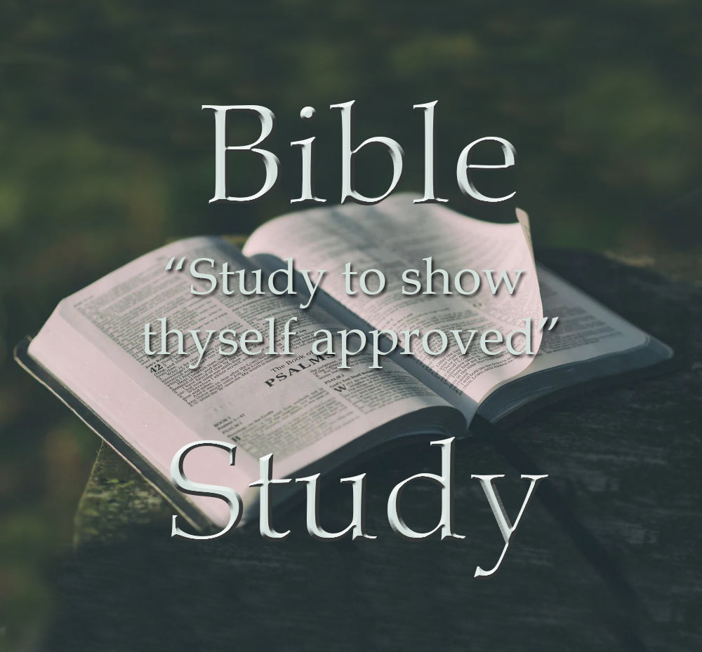 Bible Study