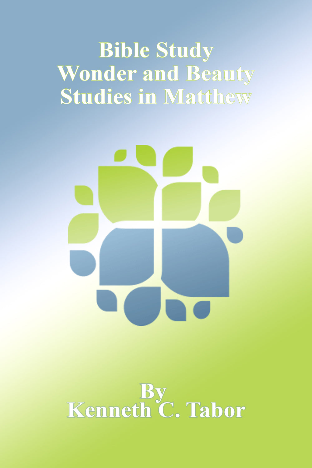 Bible Study - Wonder and Beauty Studies in Matthew