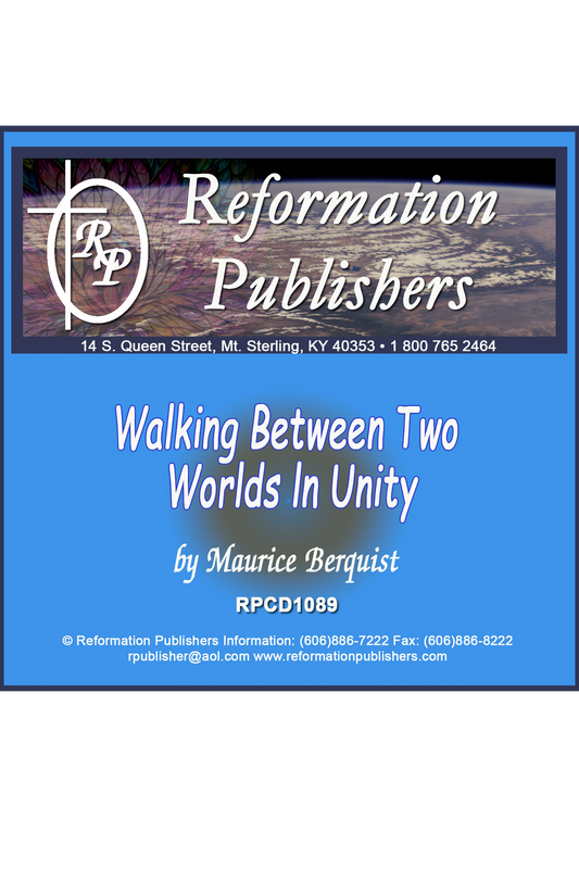 Walking Between Two Worlds ln Unity